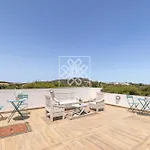 Ginepro * 스틴티노